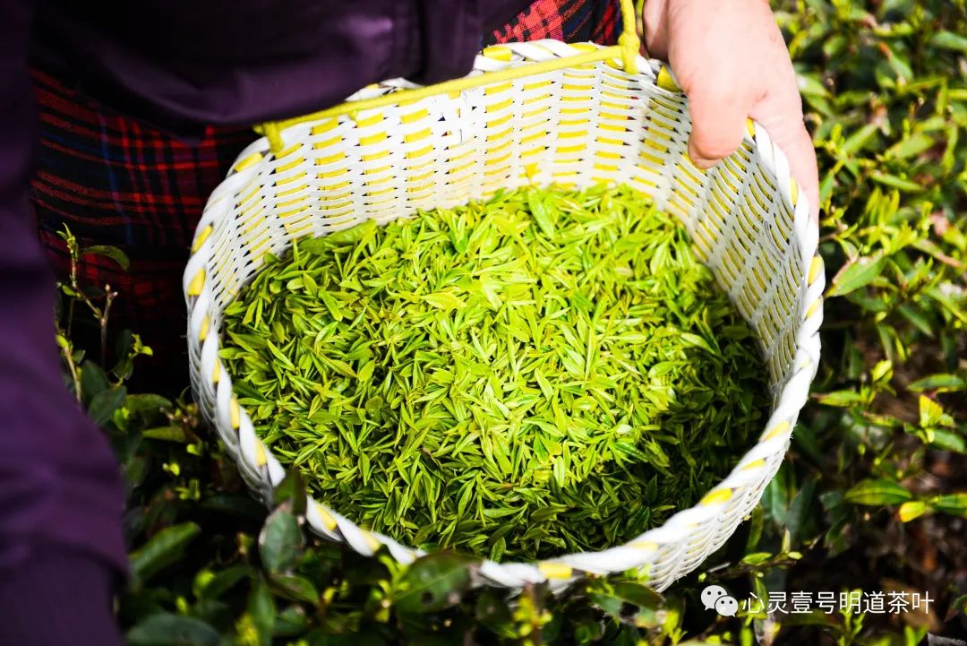 文章附圖