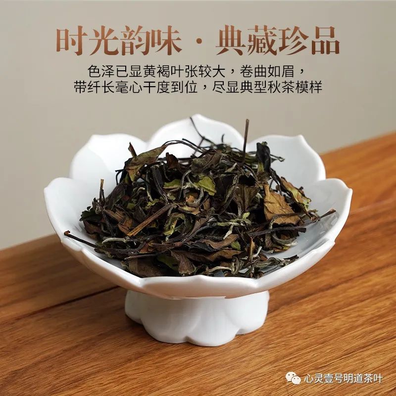 文章附圖