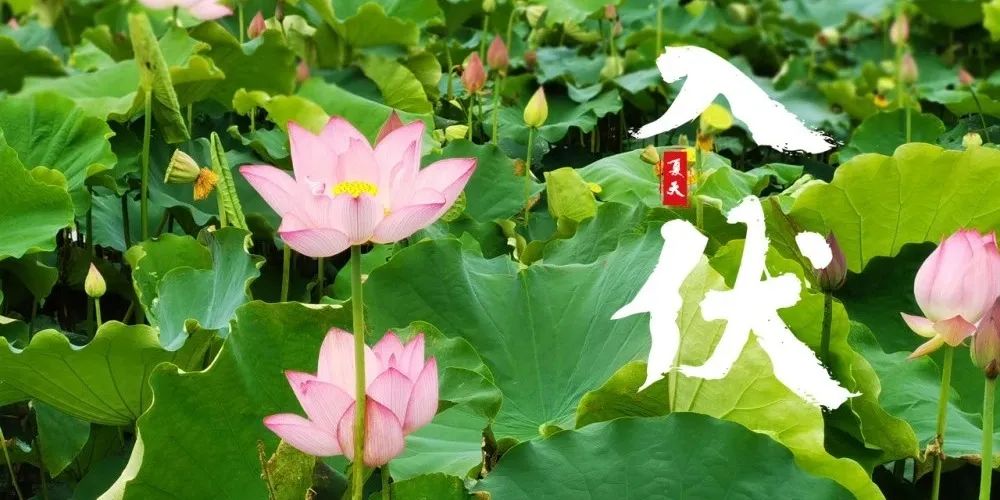 文章附圖