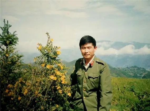 文章附圖